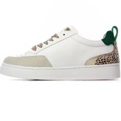 Baskets Mode Vanessa Wu Gabriela Bk2708 Vert