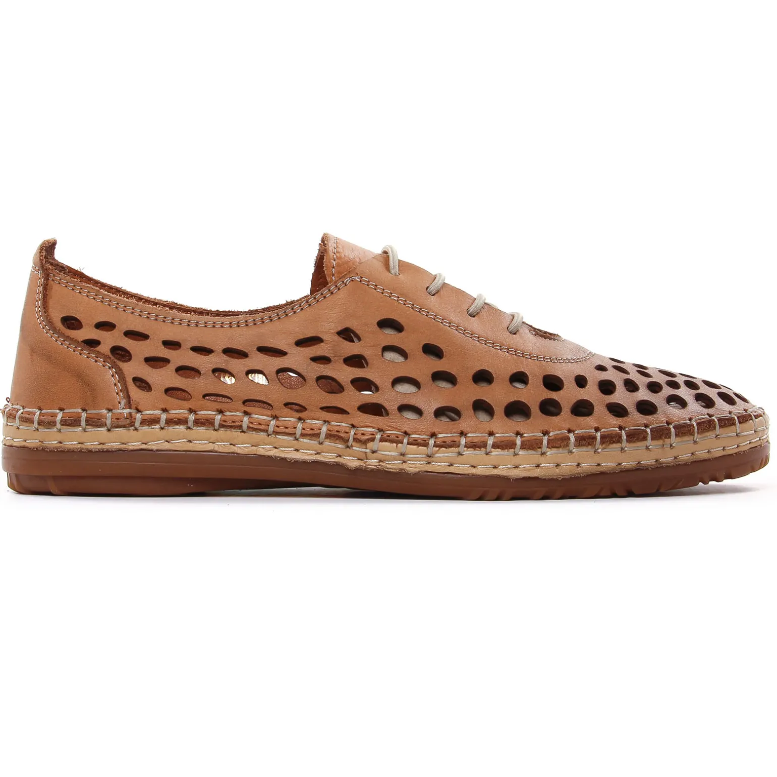 Derbys Scarlatine Pals Camel