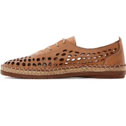 Derbys Scarlatine Pals Camel