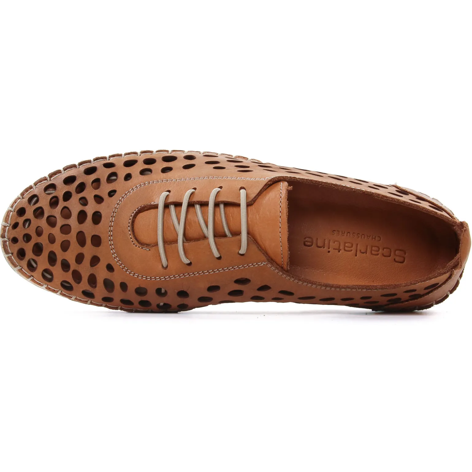 Derbys Scarlatine Pals Camel