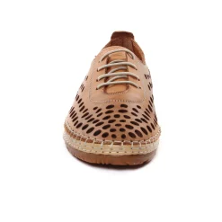 Derbys Scarlatine Pals Camel