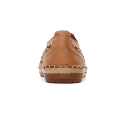 Derbys Scarlatine Pals Camel