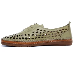 Derbys Scarlatine Pals Kaki