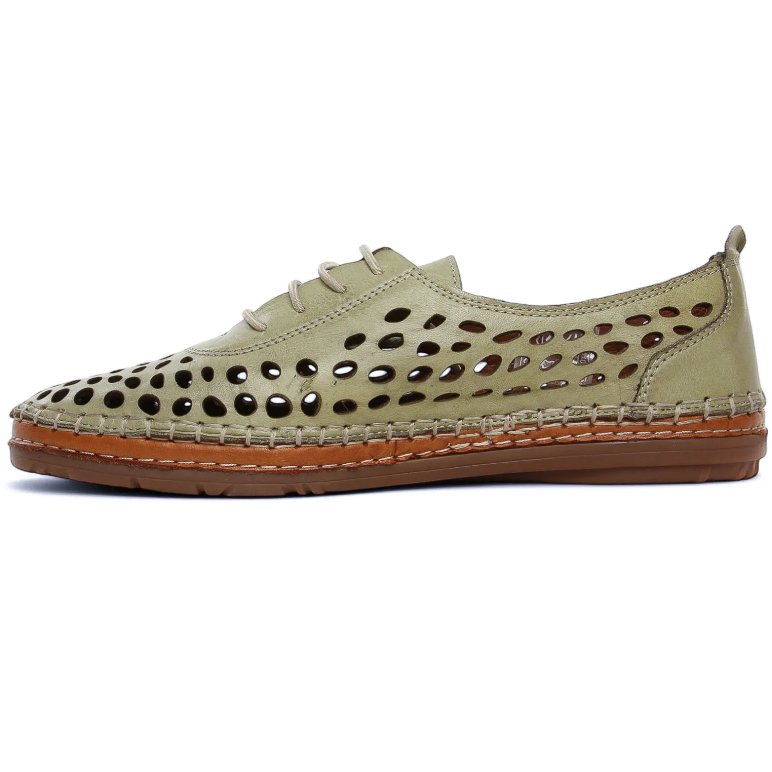 Derbys Scarlatine Pals Kaki