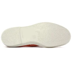 Tennis Toile Natural World 102 E Cangrejo